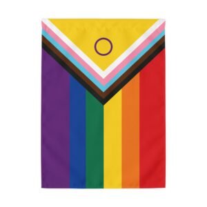Progress Pride  Flag (3 sizes)