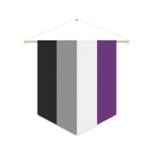 Asexual Pride Pennant w/hanger