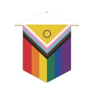 Progress Pride Pennant w/hanger