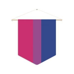 Bisexual Pride Flag pennant w/hanger
