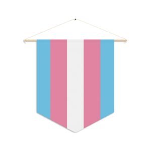 Transgender Pride pennant w/hanger
